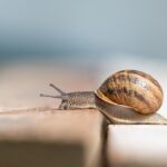 Od czego jest czkawka i jak unikać jej uciążliwości?