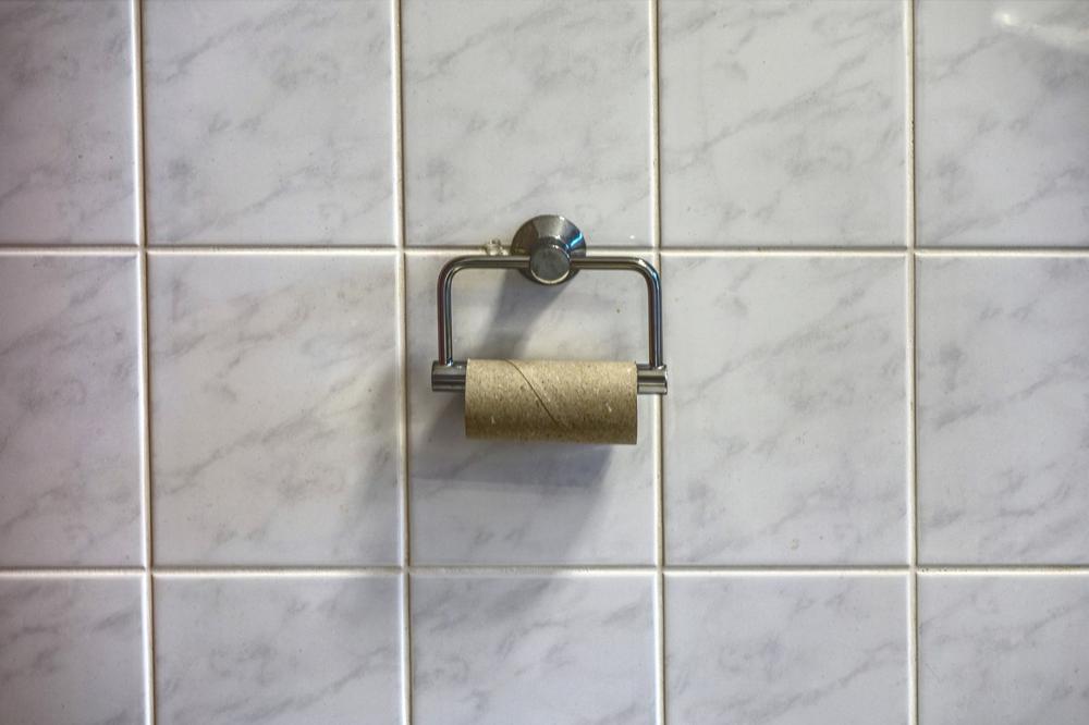 Toilet paper crafts
