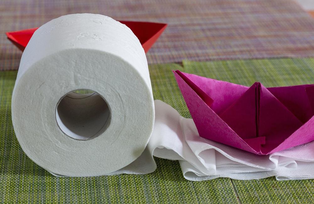 Toilet paper crafts